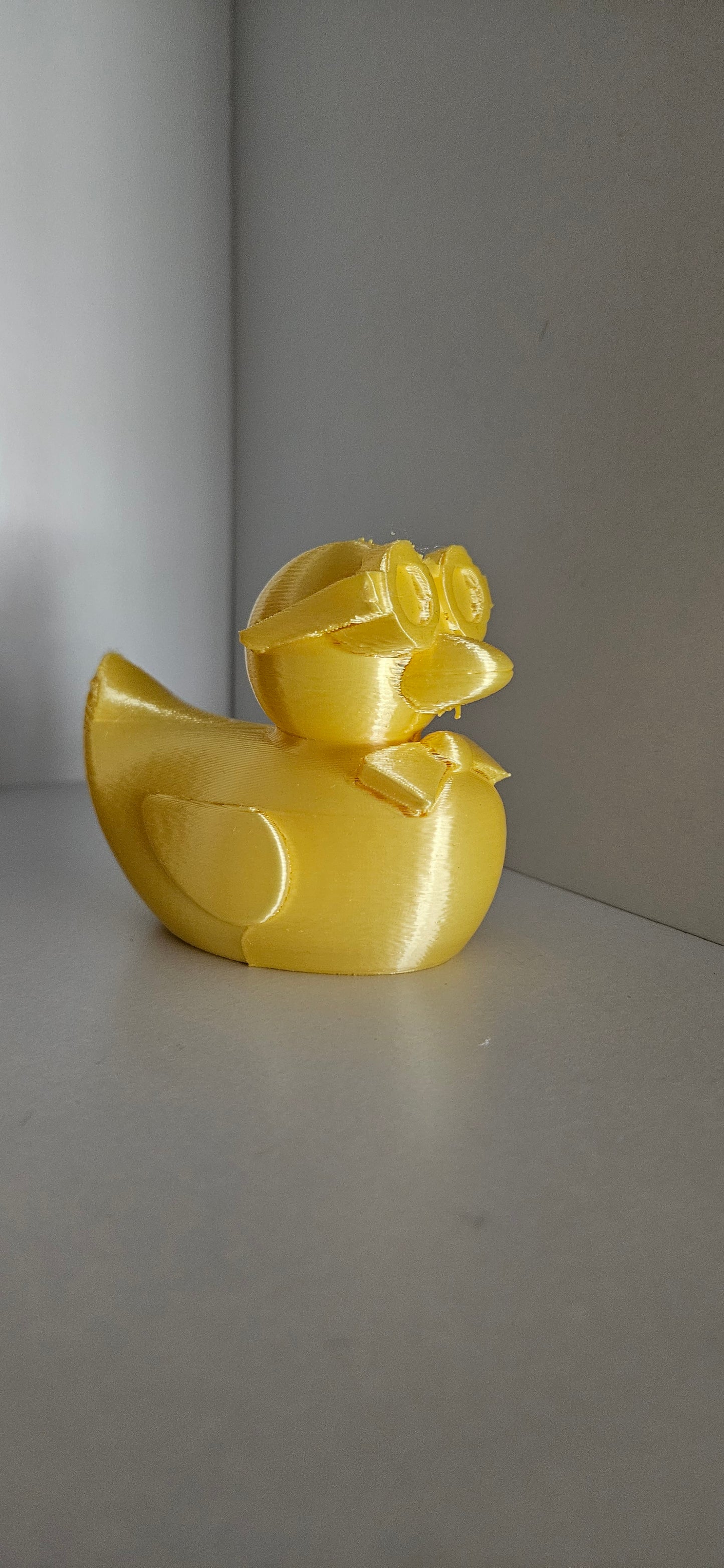 Graduate Duck