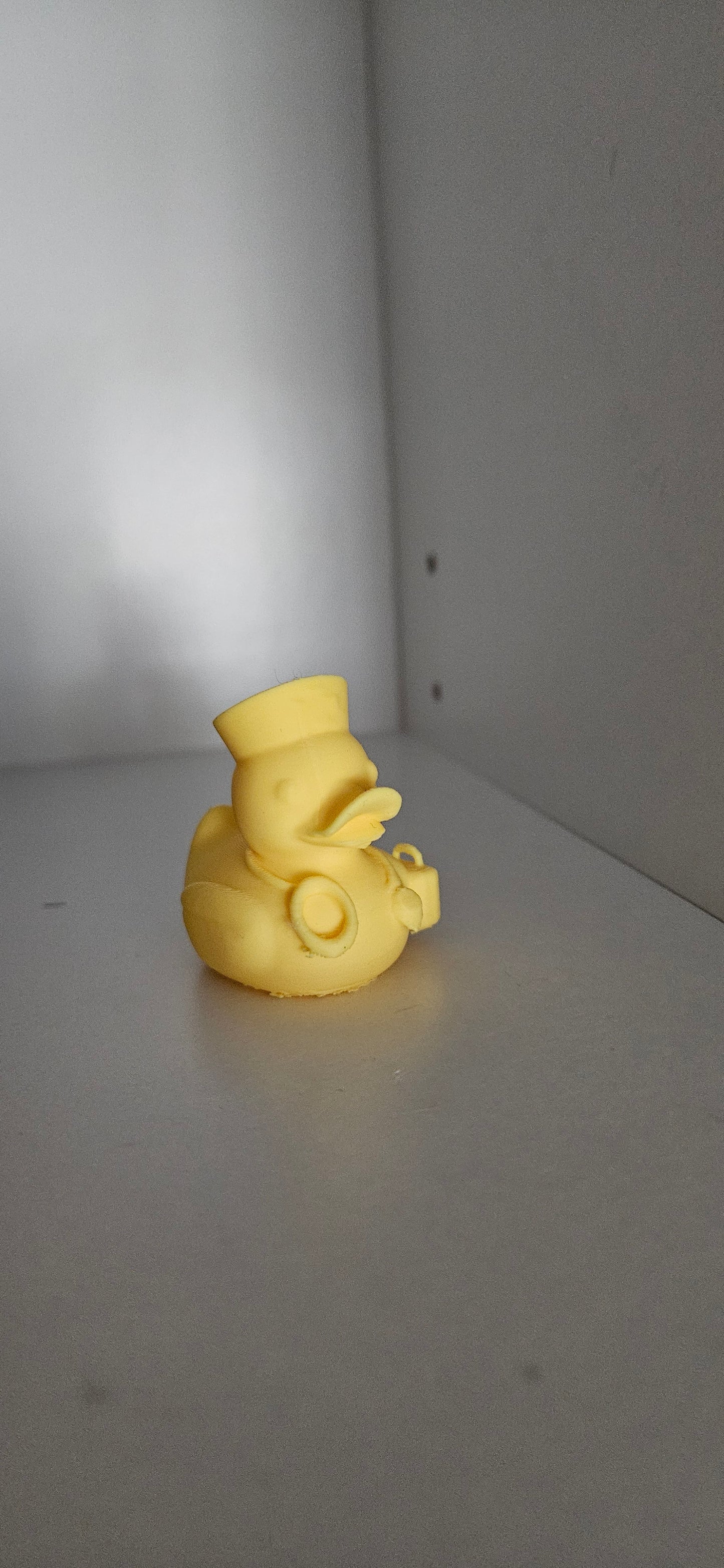 Ducktor