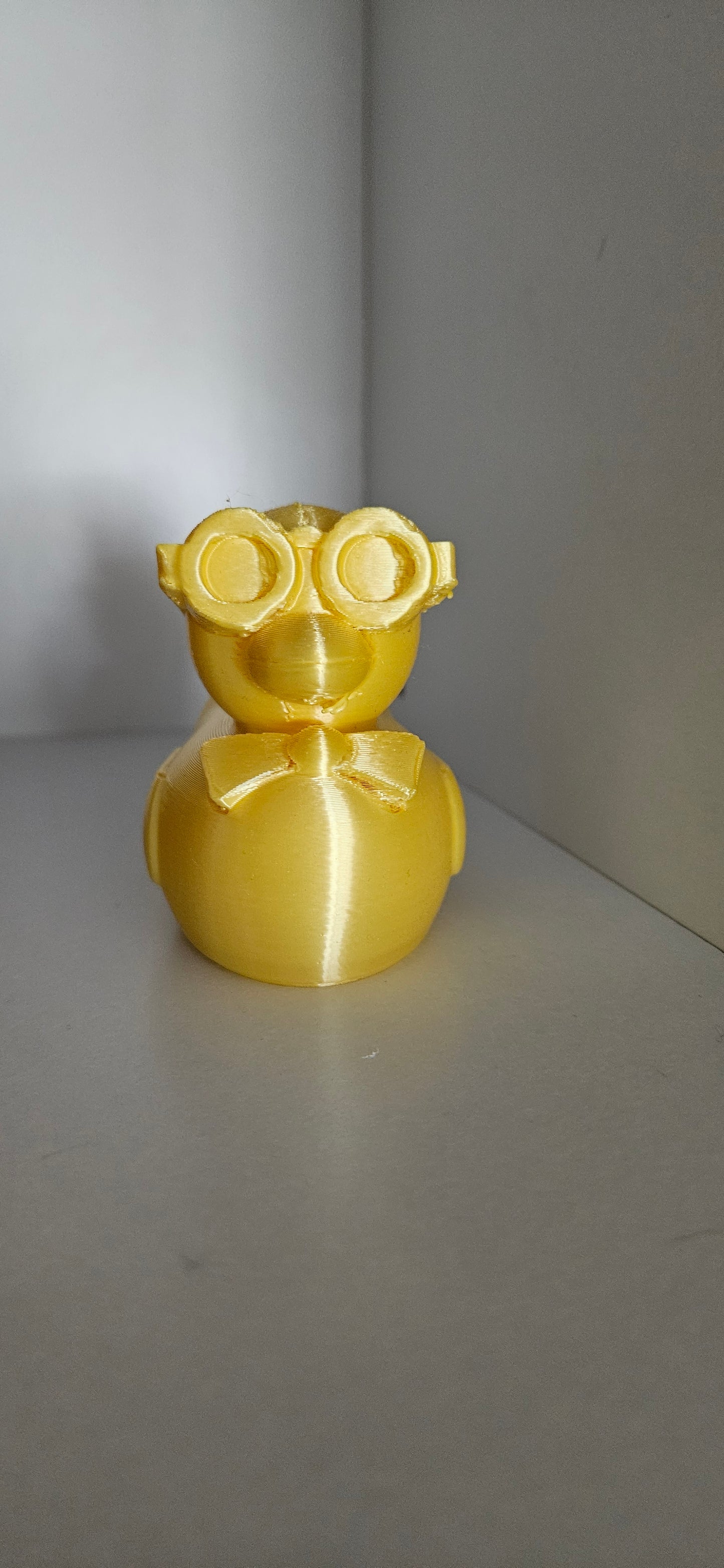 Graduate Duck