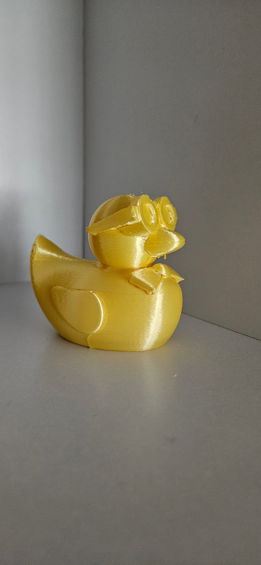 Graduate Duck